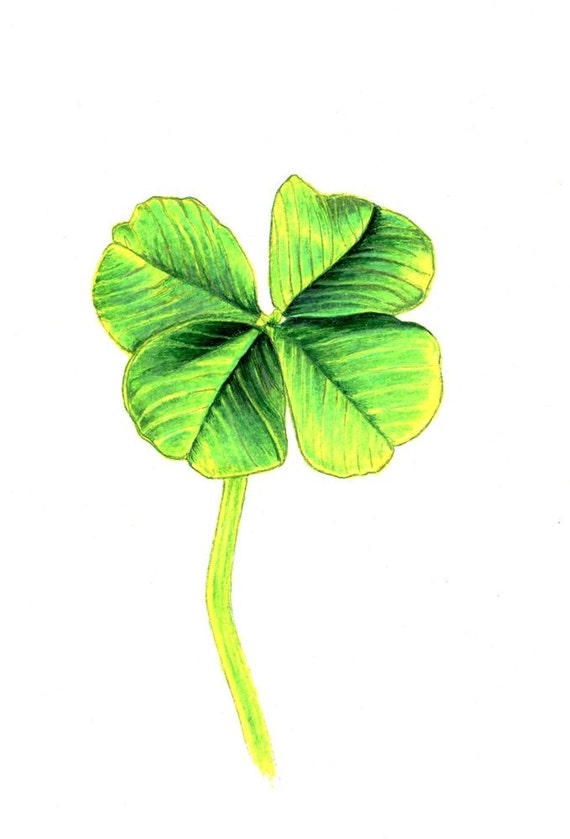 Four Leaf Clover Print Digital Print Of An Original Drawing Etsy