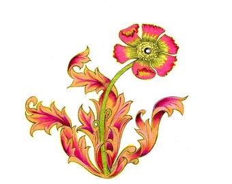 Arte de ilustración de flor de impresión de un original estudio dibujo disponible 5 x 7" o 8" x 10"