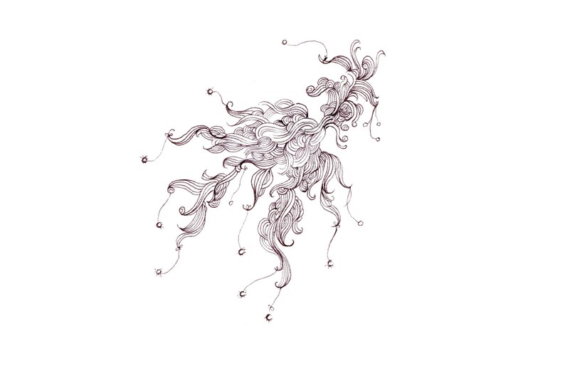 Wisp Print Digital Print of an Original Drawing Available 5x7 or 8x10