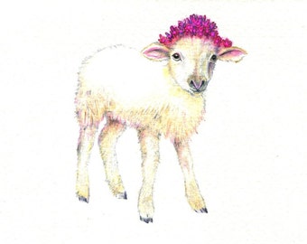 Little Lamb art print of an original drawing available 5x7" or 8x10"