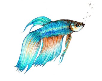 Look what I found at the dollar tree! Its one of the velvet coloring pages  : r/bettafish