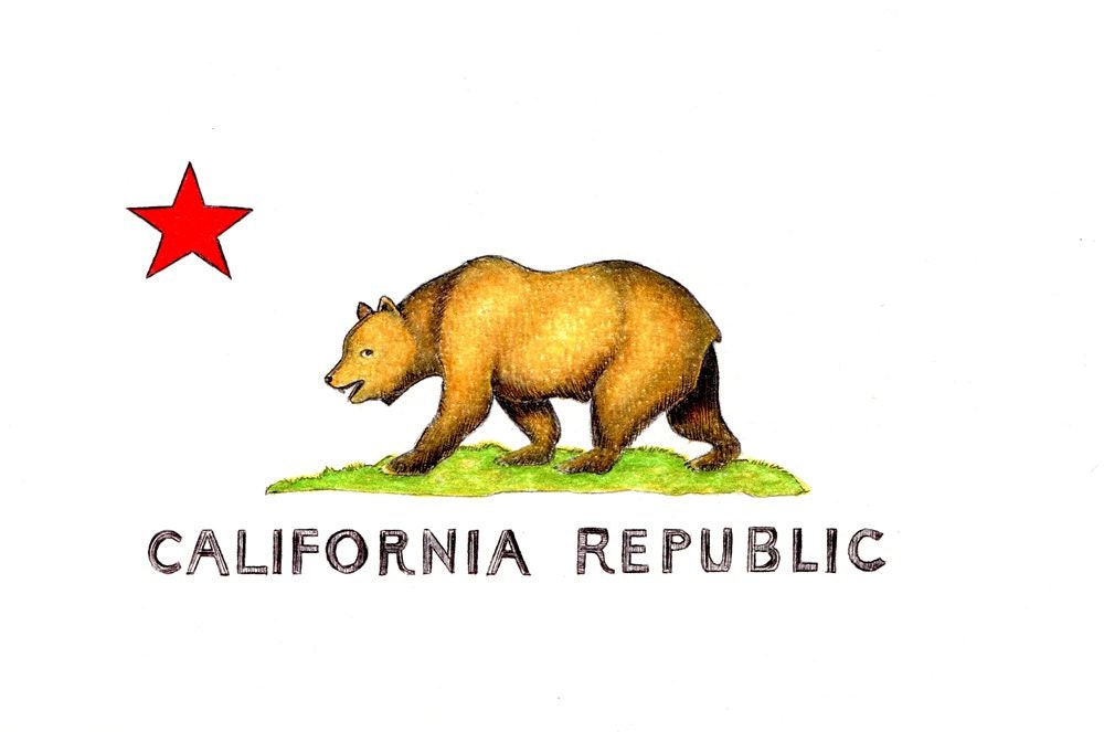 California Bear Flag Print digital print of an original drawing available 5x7 or 8x10