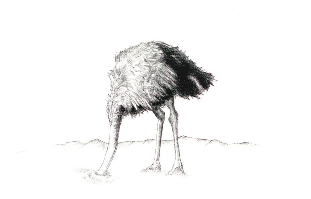 Ostrich Head in Sand Print Digital Print of an Original Drawing