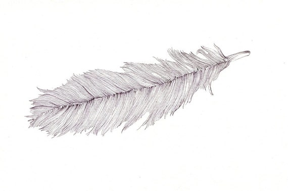 Hand drawn feathers. Sketch bird feather, retro artistic drawing ink p By  Tartila | TheHungryJPEG