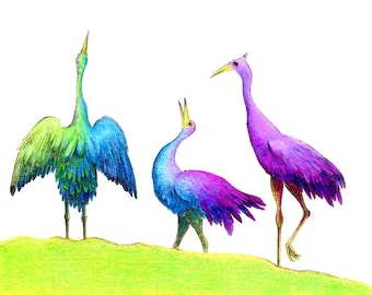 Trío de pájaros coloridos impresión artística de un dibujo disponible 5x7 "u 8x10"