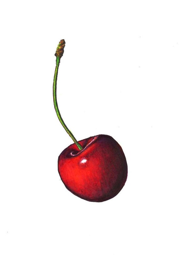 Cherry Print: digital print of an original drawing available 5x7 or 8x10