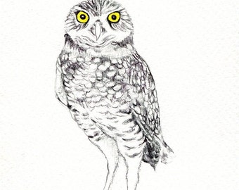 Owl art print of an original drawing available 5x7" or 8x10"