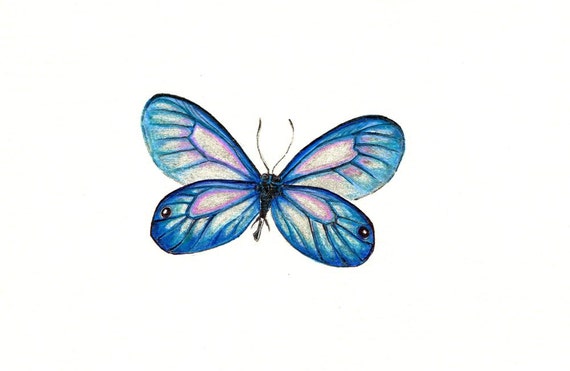 Papillon Imprimer Impression Numerique Un Original Dessin Etsy