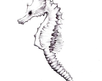 Caballito de mar lámina de un dibujo disponible 5 x 7" o 8" x 10"