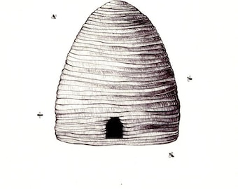 Peut inclure: Illustration au stylo et encre d'une ruche avec une petite entrée sombre. La ruche est de couleur marron clair et présente des lignes horizontales. Plusieurs petites abeilles stylisées sont dispersées autour de la ruche sur fond blanc.