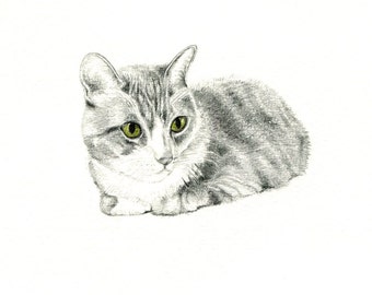 Mr. Kitty Kat art print of an original drawing available 5x7" or 8x10"