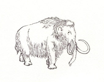 Woolly Mammoth art print of an original drawing available 5x7" or 8x10"