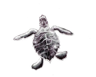 Tiny migrating turtle art print of an original drawing available 5x7" or 8x10"