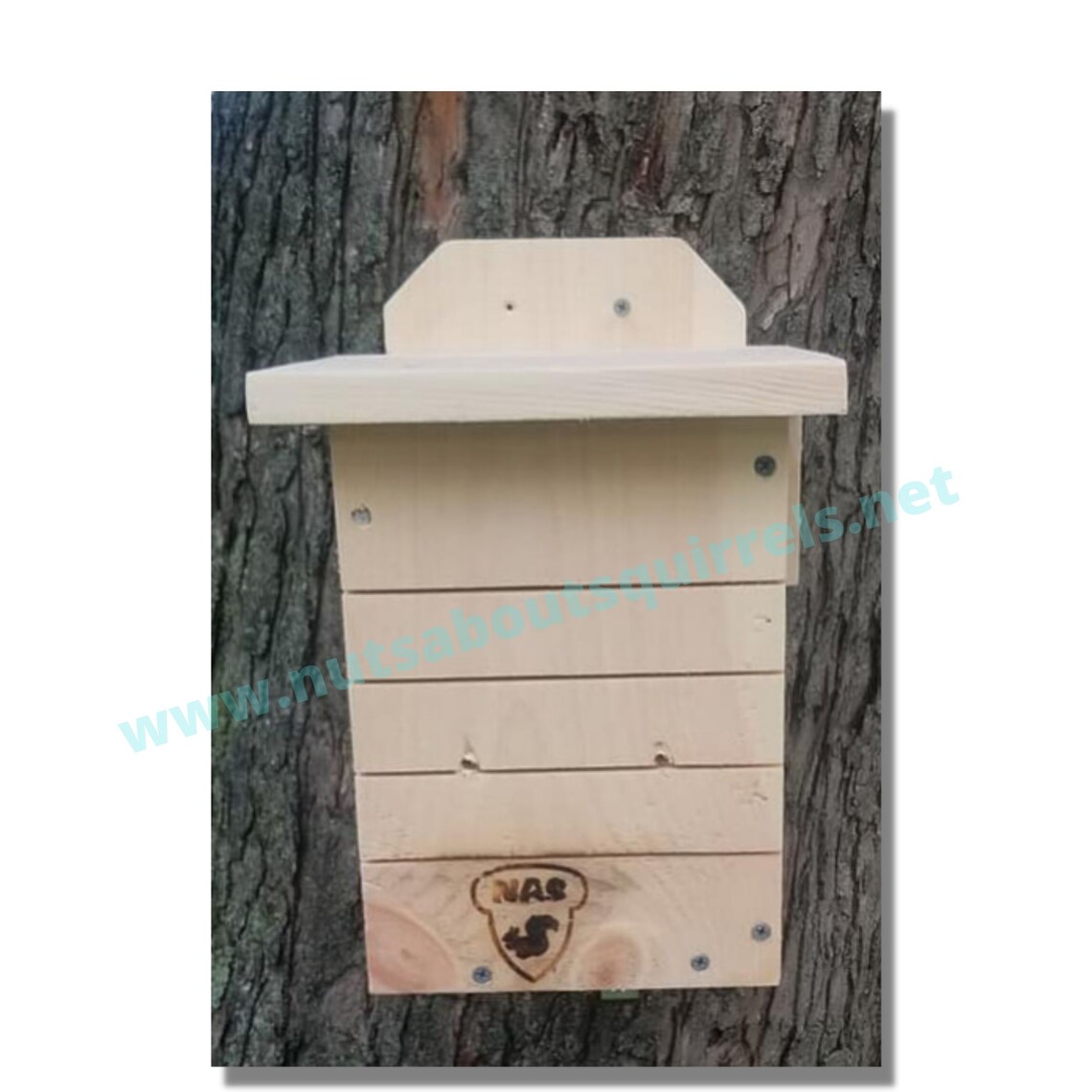 Southern Flying Squirrel House W/ Free Shipping to Contiguous Etsy