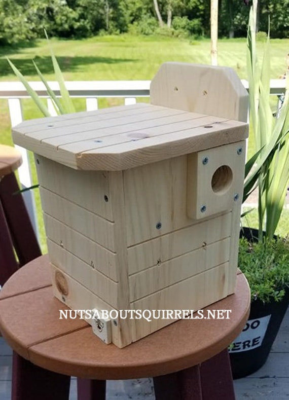 Southern Flying Squirrel House made to order Etsy