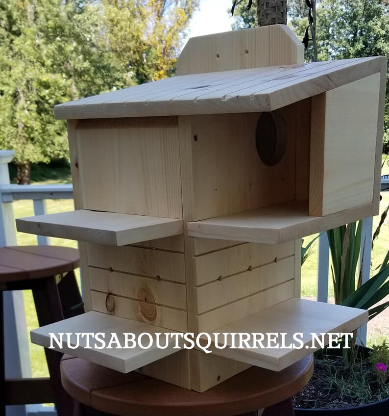 Squirrel Condo made to order Etsy