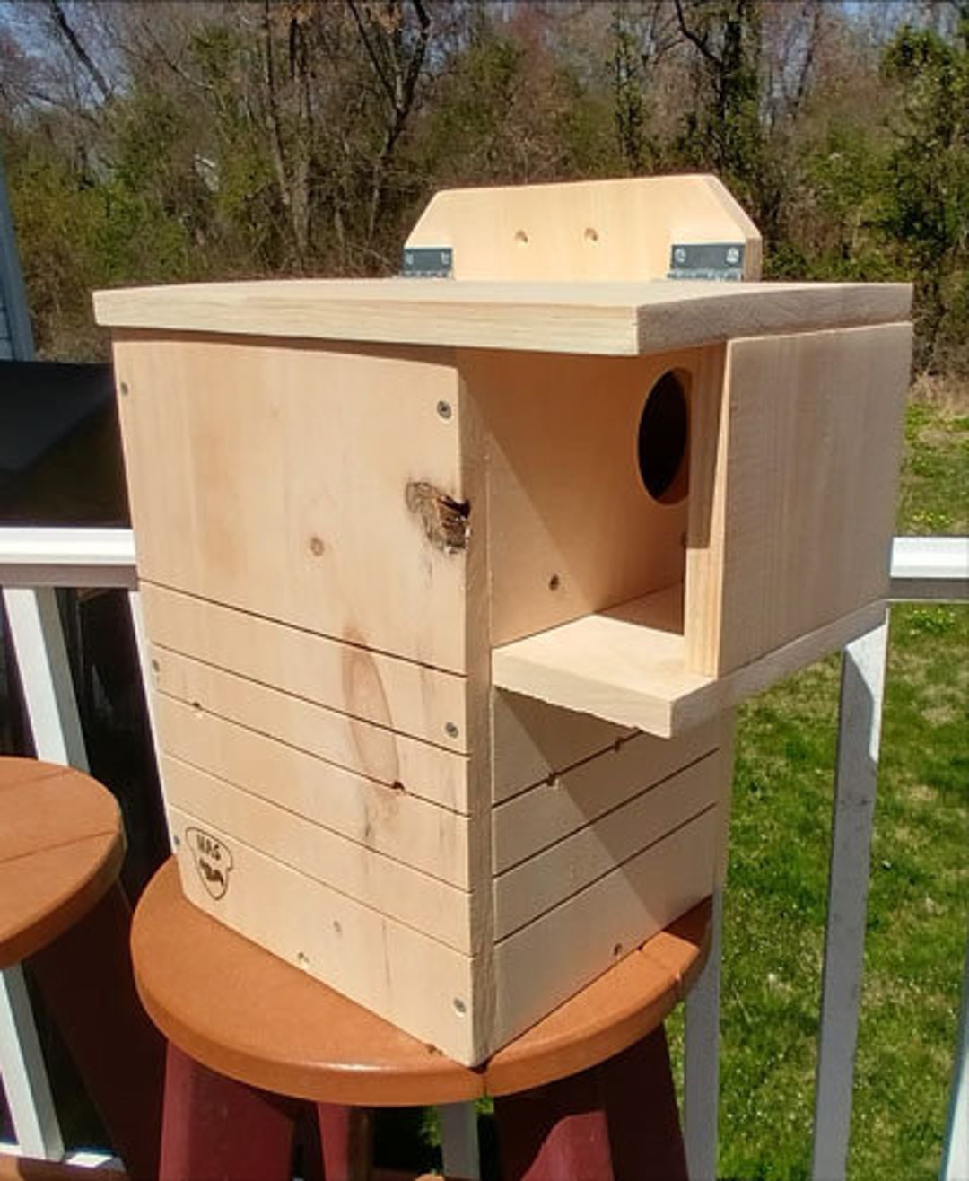 Fox Squirrel Nest Box, Build It Yourself Squirrel House Kit Etsy
