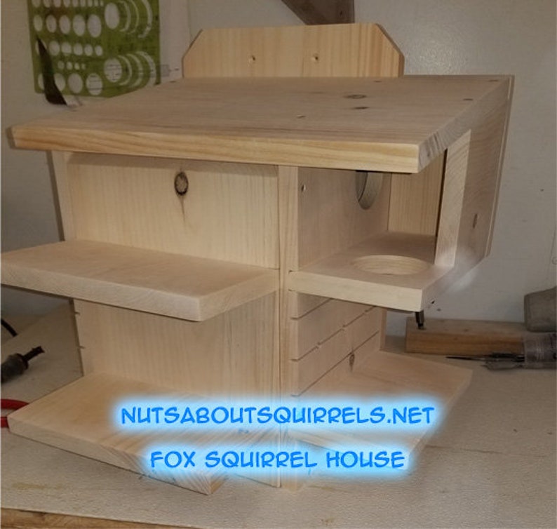 Fox Squirrel House Etsy