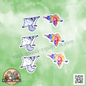 Set of 20 Flying Squirrel Decals- Gift for Flying Squirrel Lover