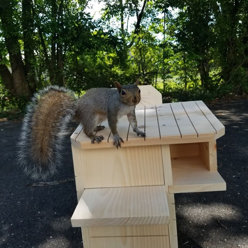 Squirrel Nesting Box made to order Etsy