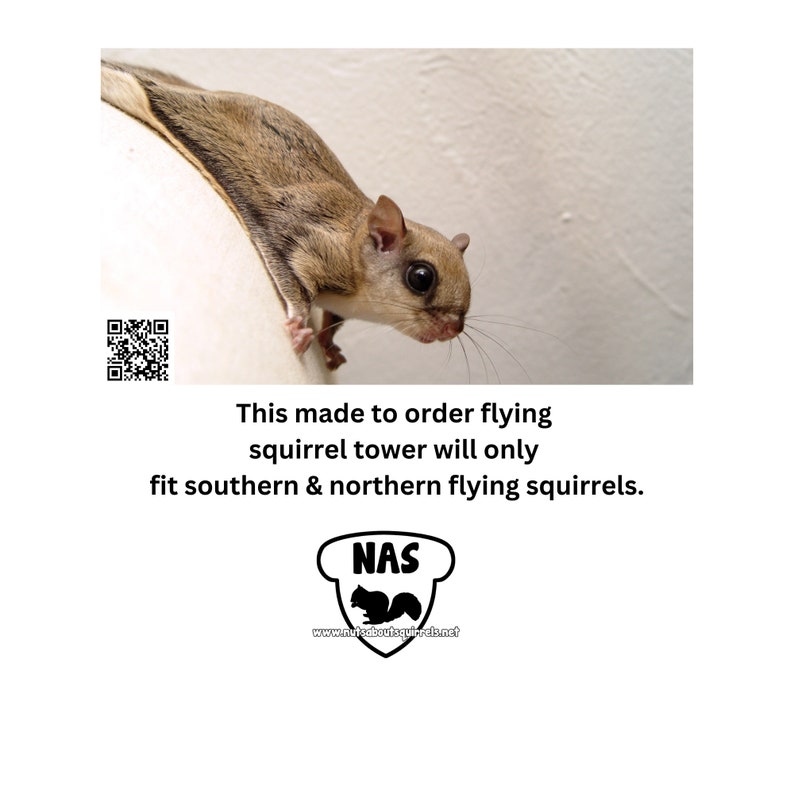 Southern Flying Squirrel House W/ Free Shipping to Contiguous Etsy