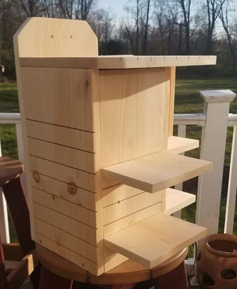 Squirrel Condo made to order Etsy