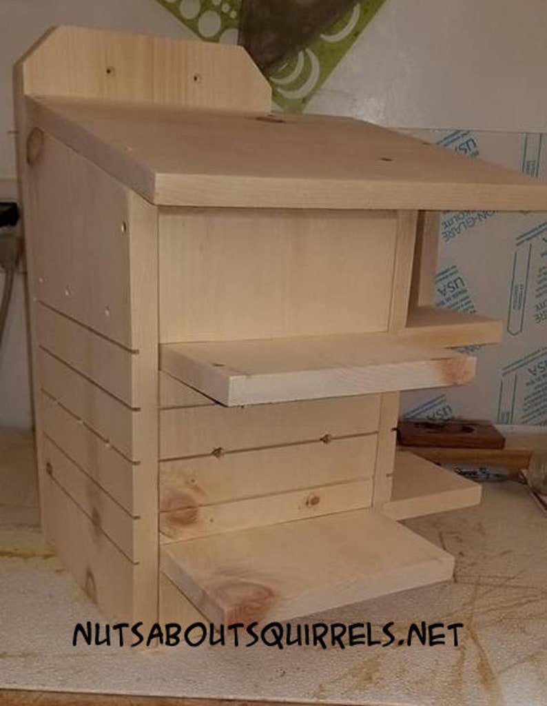 Squirrel Condo made to order Etsy