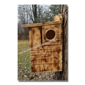 Handmade Squirrel House: FSC Pine Nest Box, Wildlife Rehab Approved