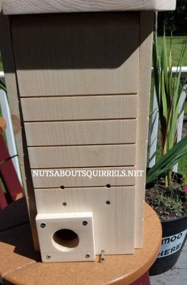 Red Squirrel House made to order Etsy
