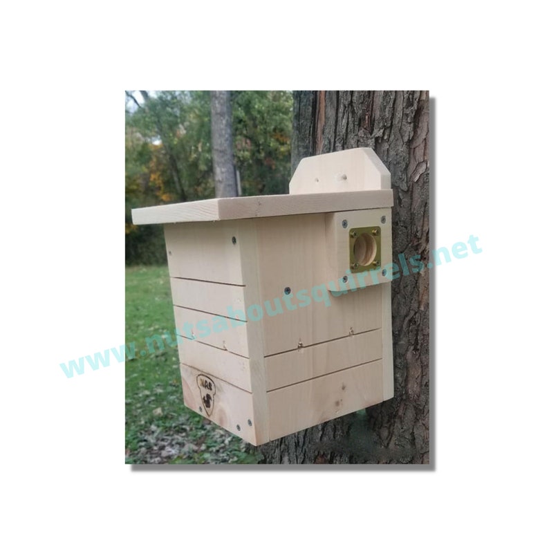Southern Flying Squirrel House W/ Free Shipping to Contiguous Etsy
