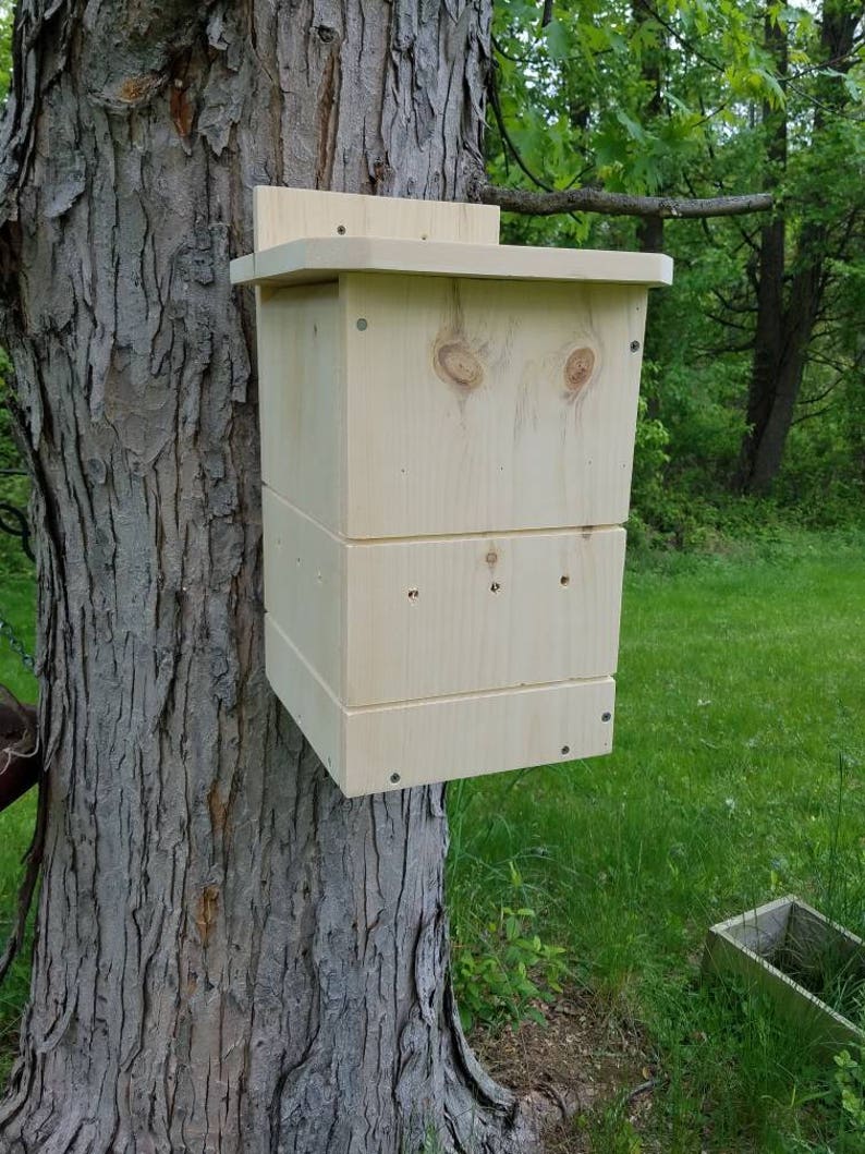 Basic Squirrel Nesting Box made to order Etsy