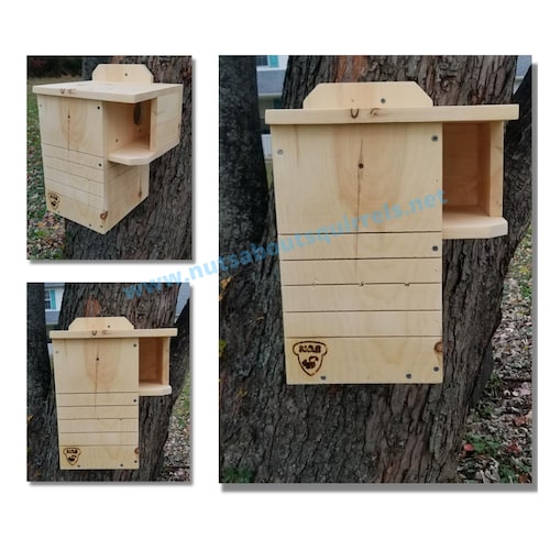 Southern Flying Squirrel Nesting Box Handmade by Nuts About Etsy Canada