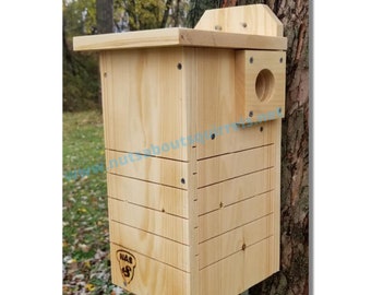 Red Squirrel Nest Box, Douglas Squirrel House