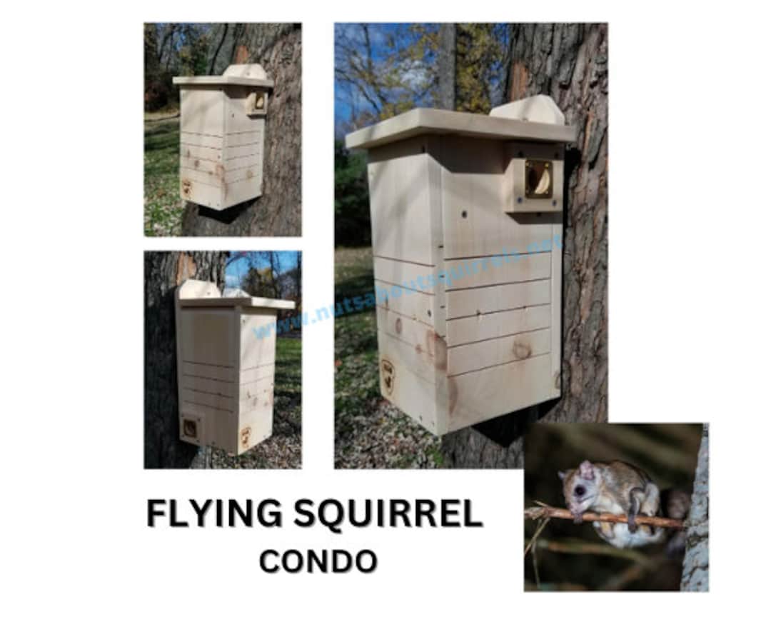 Flying Squirrel House Northern Flying Squirrel House Etsy