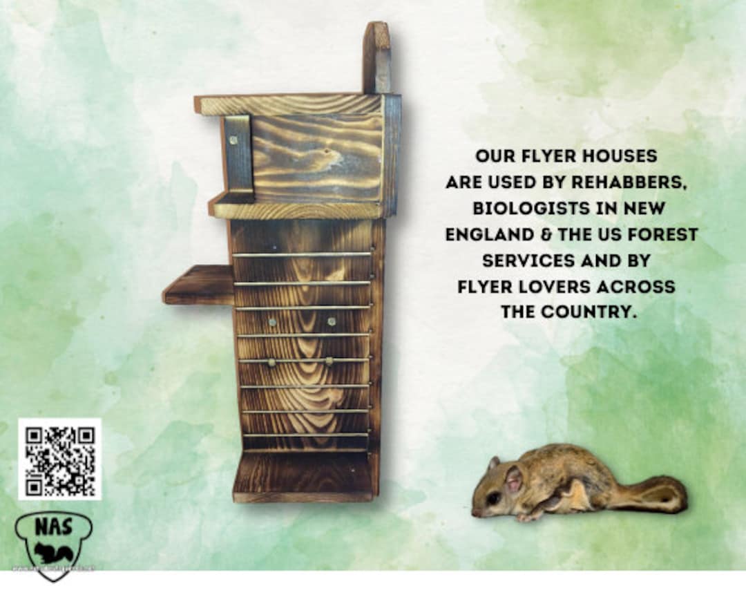 Flying Squirrel House Northern Flying Squirrel Nest Etsy