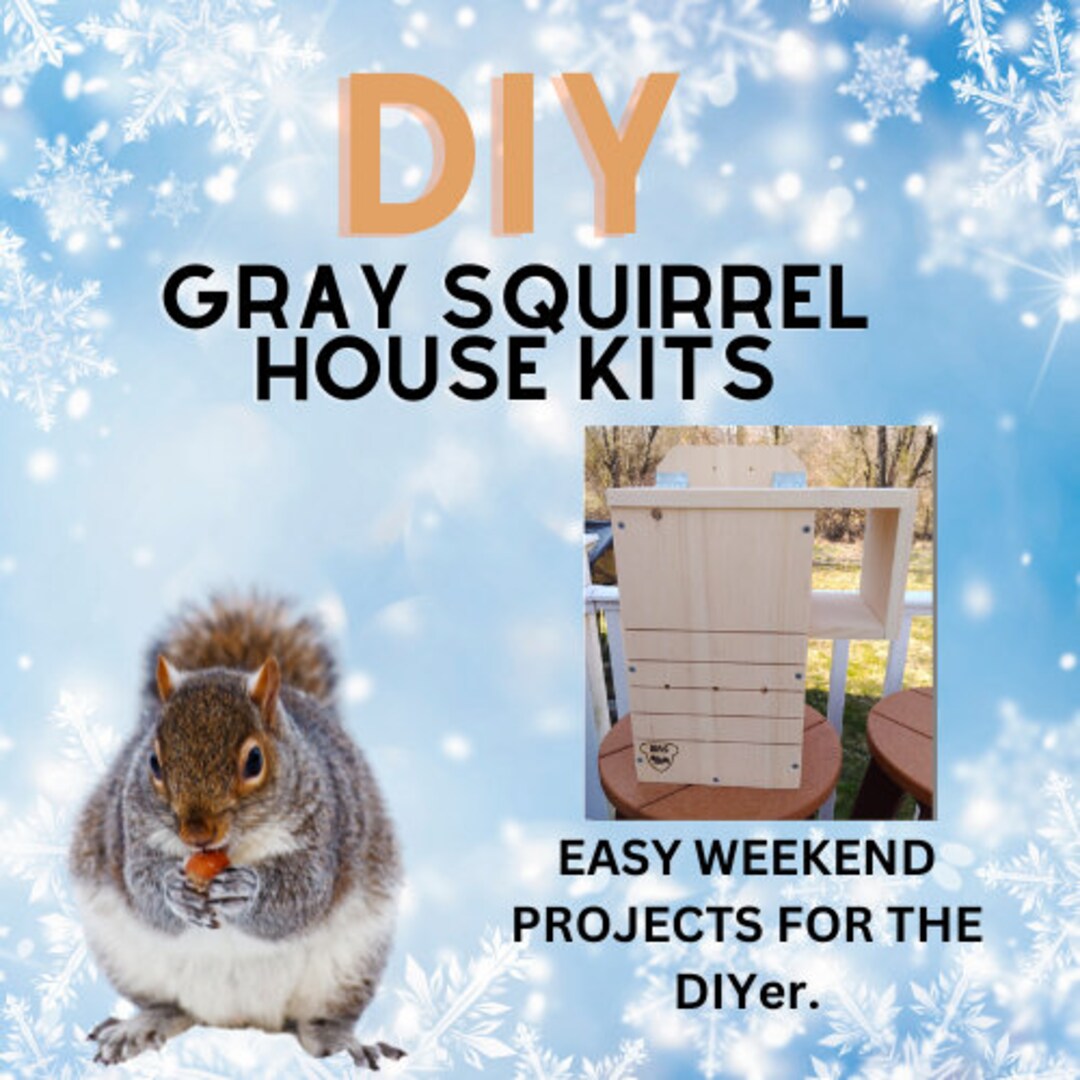 Squirrel Nest Box, Build It Yourself Squirrel House Kit, DIY Gray