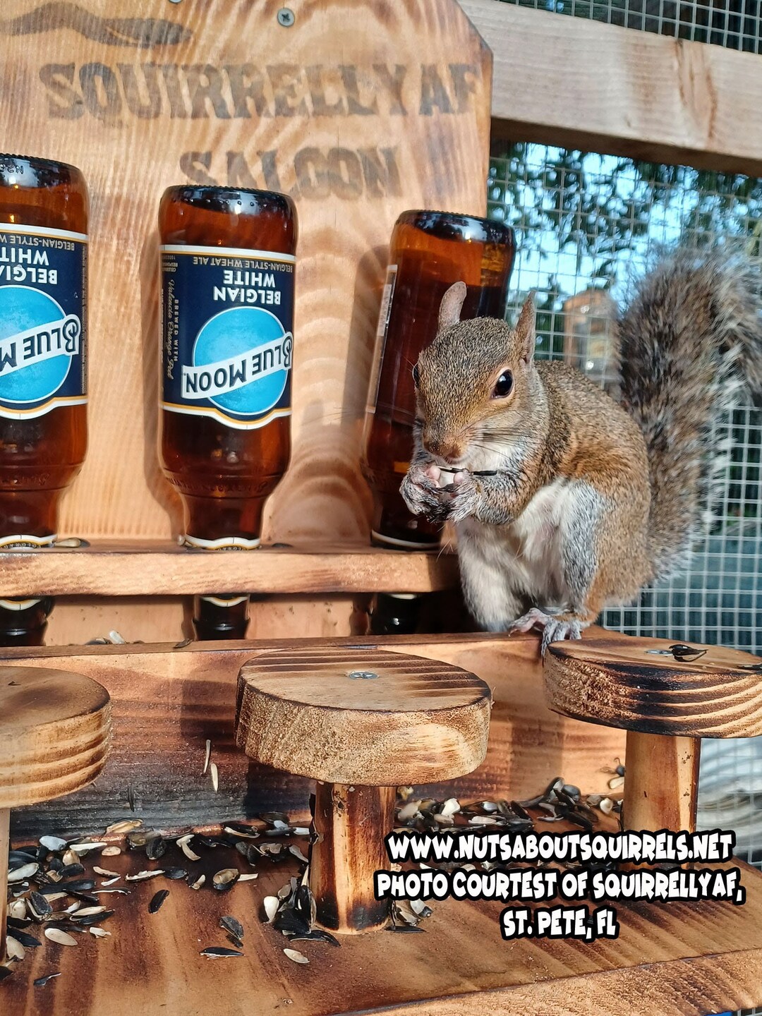 Squirrel Saloon, Personalized Squirrel Feeder, Unique Squirrel Feeder