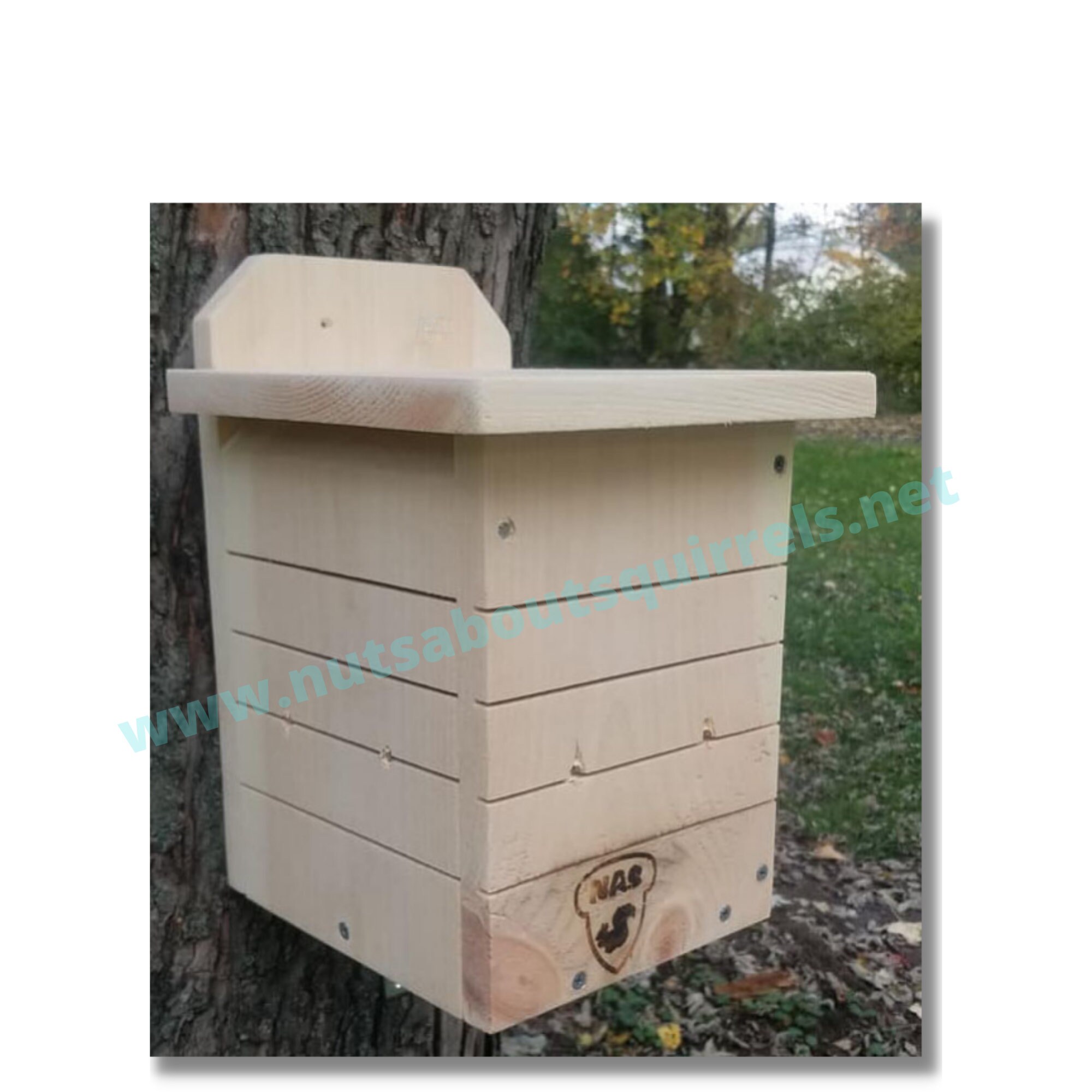 Southern Flying Squirrel House W/ Free Shipping to Contiguous Etsy
