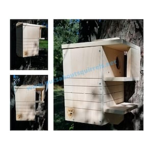Wildlife Rehab Approved FSC Pine Squirrel Nest Box -Predator Resistant with Two Porches