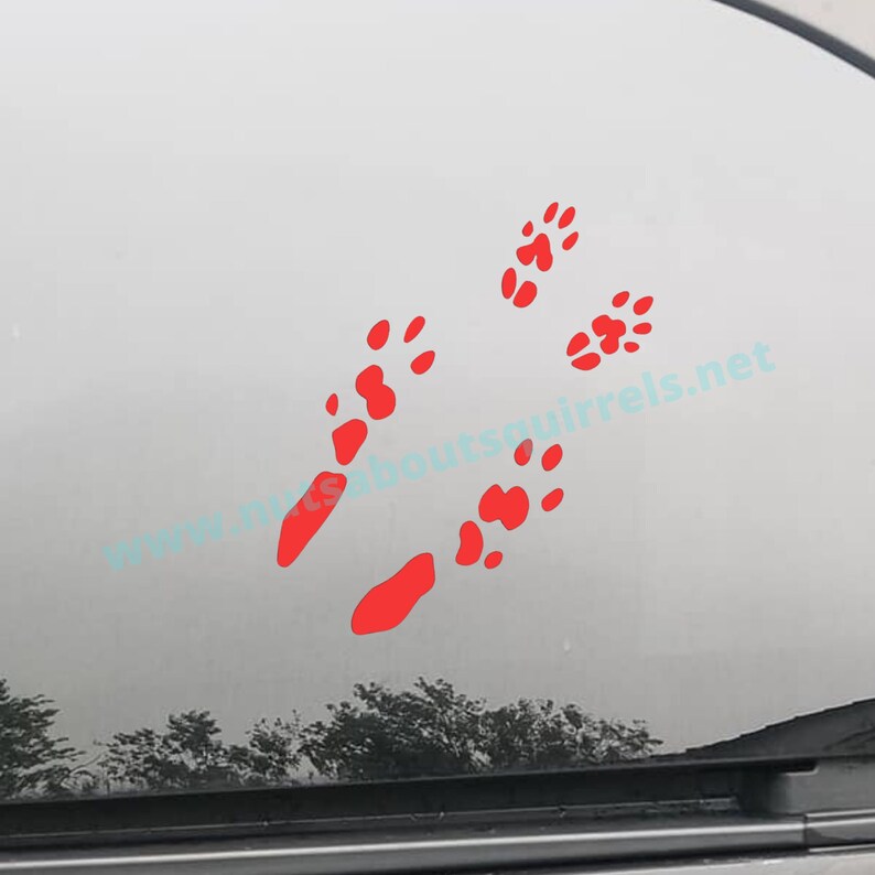 Chinchilla Paw Prints Vinyl Decal, Chinchilla Car Decal, Gift for Chinchilla Lover. Pet Chinchilla Decal, Chinchilla Sticker for Laptops image 1