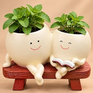 Puede incluir: Una maceta de cerámica color crema con forma de dos figuras conectadas con caras sonrientes, cada una con una planta verde. Las figuras están sentadas en un banco marrón con textura de madera, y una sostiene un pequeño libro abierto.