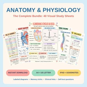 Może przedstawiać: Cyfrowy zestaw 40 arkuszy do nauki anatomii i fizjologii z opisanymi diagramami, sztuczkami pamięciowymi i linkami klinicznymi. Arkusze obejmują tematy takie jak 12 nerwów czaszkowych, cykl sercowy, EKG i kręgosłup.
