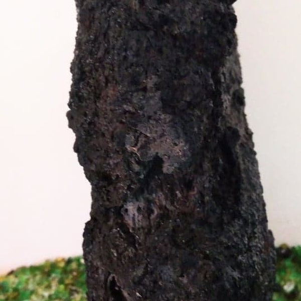 Black Lava #Nano #Black #Pillar Rock between  4-6" 100% #Natural I pick you save #Horticultural #Microlandscape #Bog #Schefflera #vitrine