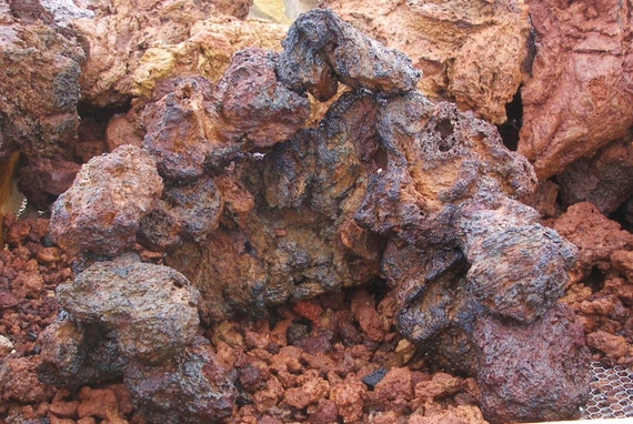 Aquarium Lava Rock Fire Color Aquascaping Hardscape All Water Etsy