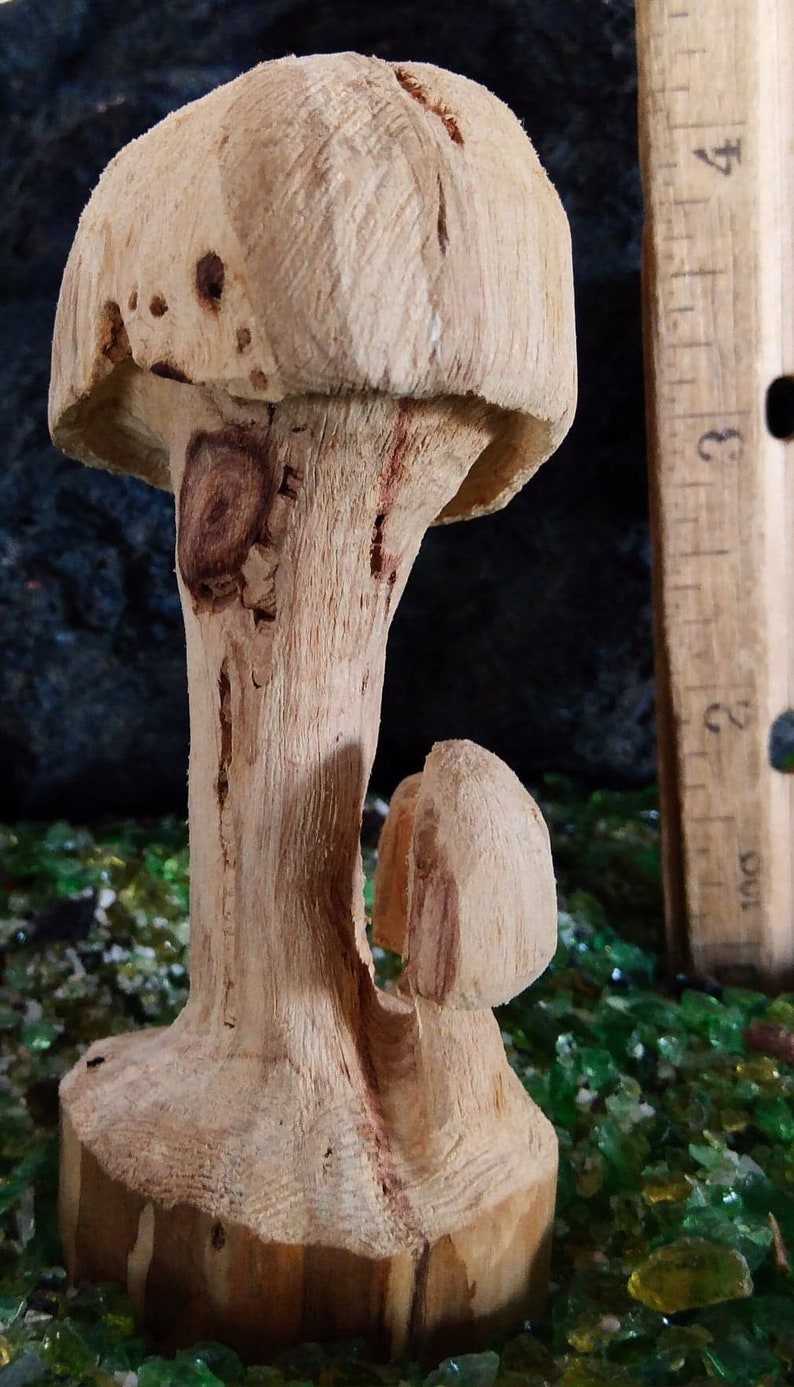 Wood Mushrooms Hand Carved Garden Aquarium Decor Pleco Fiber Etsy