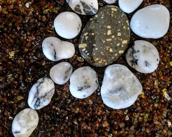 Aquarium Beach Flower Pebbles Black and White Quartz, Naturally Tumbled Accent Stones