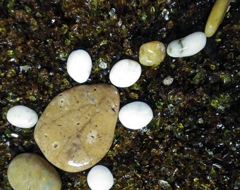 Aquarium Rock Axolotls Tumbled Beach Pebbles #AXO