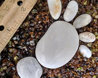 Aquarium Rock Footprint in the sand Beach Pebbles #Footprint