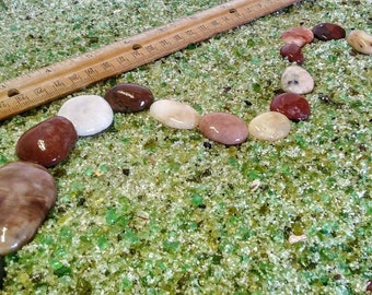 Aquarium Pebble Snake Pacific Beach Pebbles #Multi