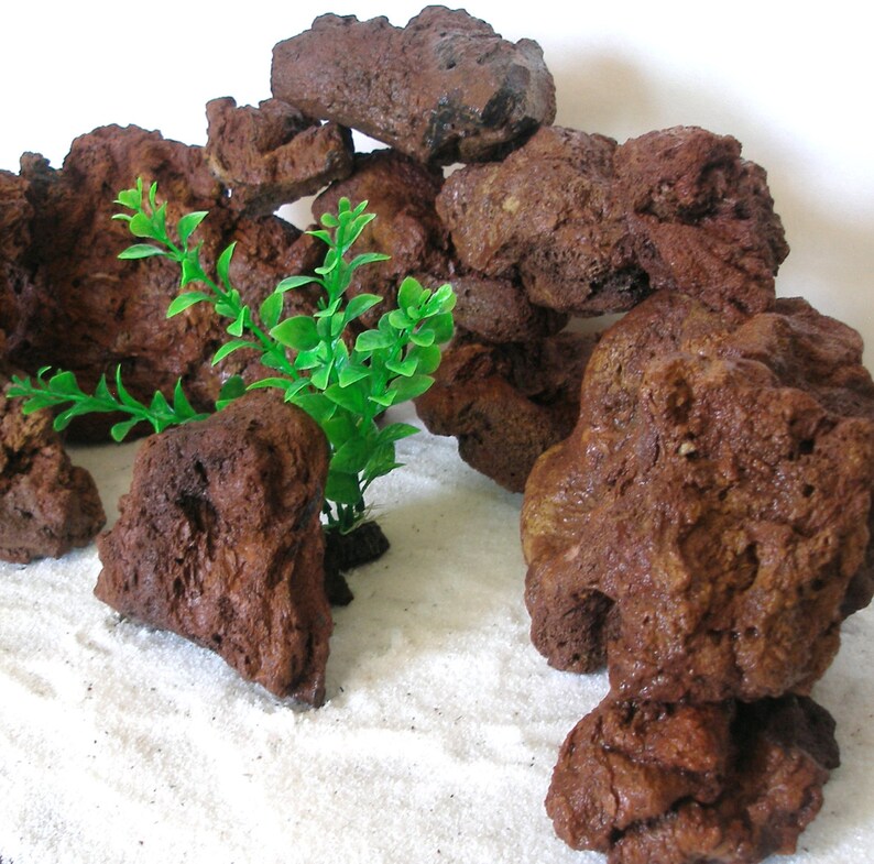 Aquarium Red Lava Rock Aquascaping Exotic Habitat 10 stone Etsy